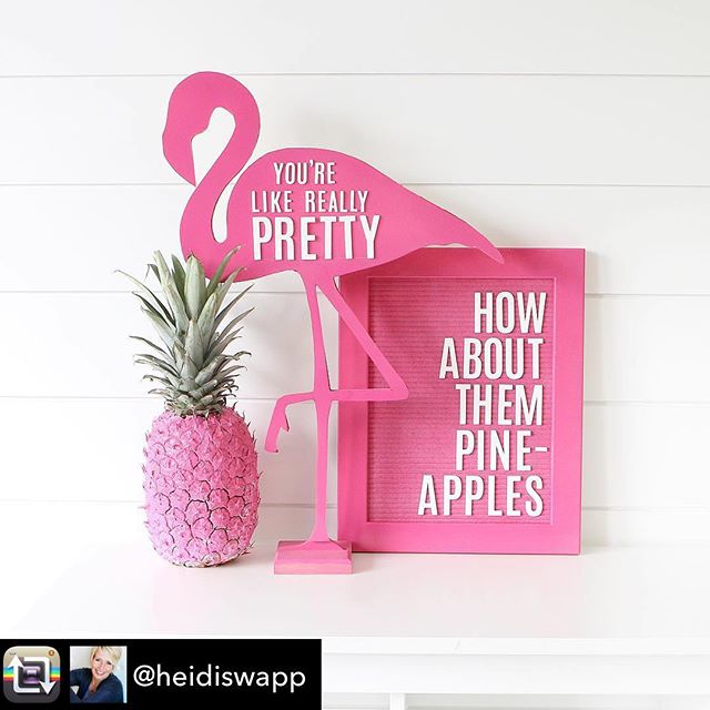 Monday calls for a big dose of Pink with a side of pineapple!! keep it sassy today💖💖💖 Repost from @heidiswapp