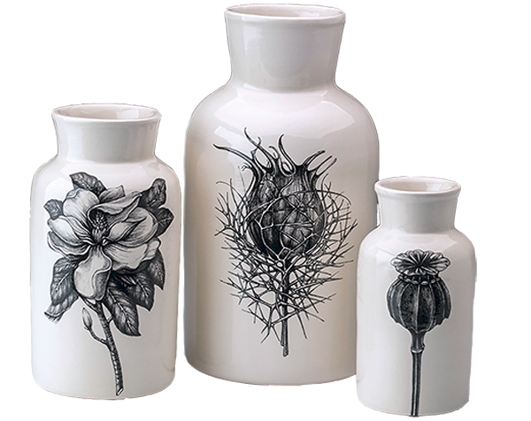 Botanical Jar Set. Laura Zindel Design.