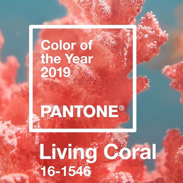 We’re loving this PANTONE Color of the Year 2019 @pantone