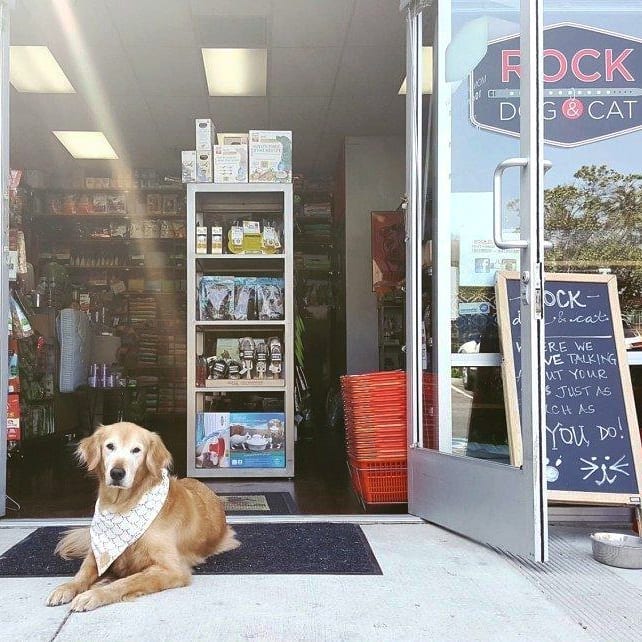 We appreciate all the doggos (and other pets!) working hard & greeting customers ❤🐾 DM us or tag us in photos of your hardworking office/store pets