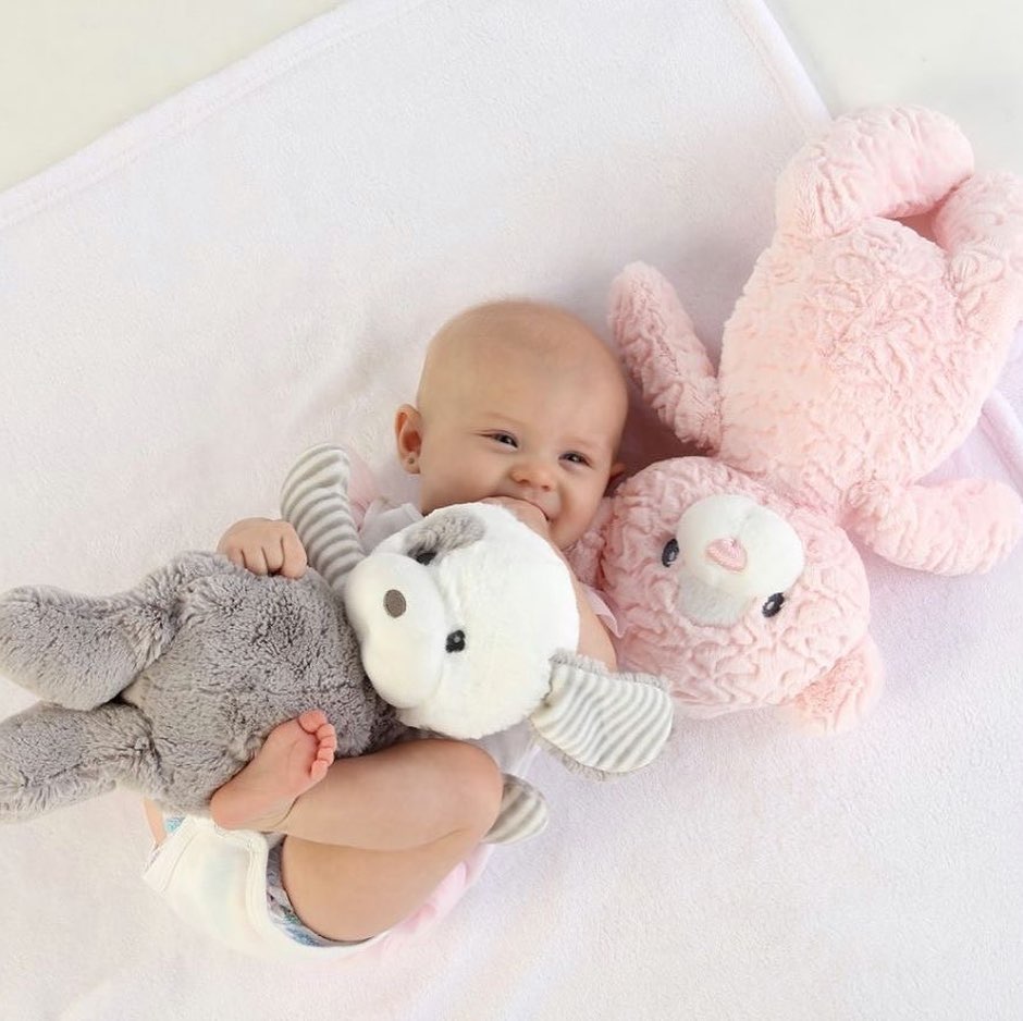 Aurora World has launched a new baby brand, ebba, that complements boutique  and toy shop collections.
