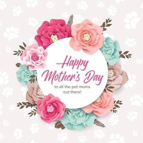 Moms, thanks for being pawsome from all of us at Gift Shop Pets! 💐