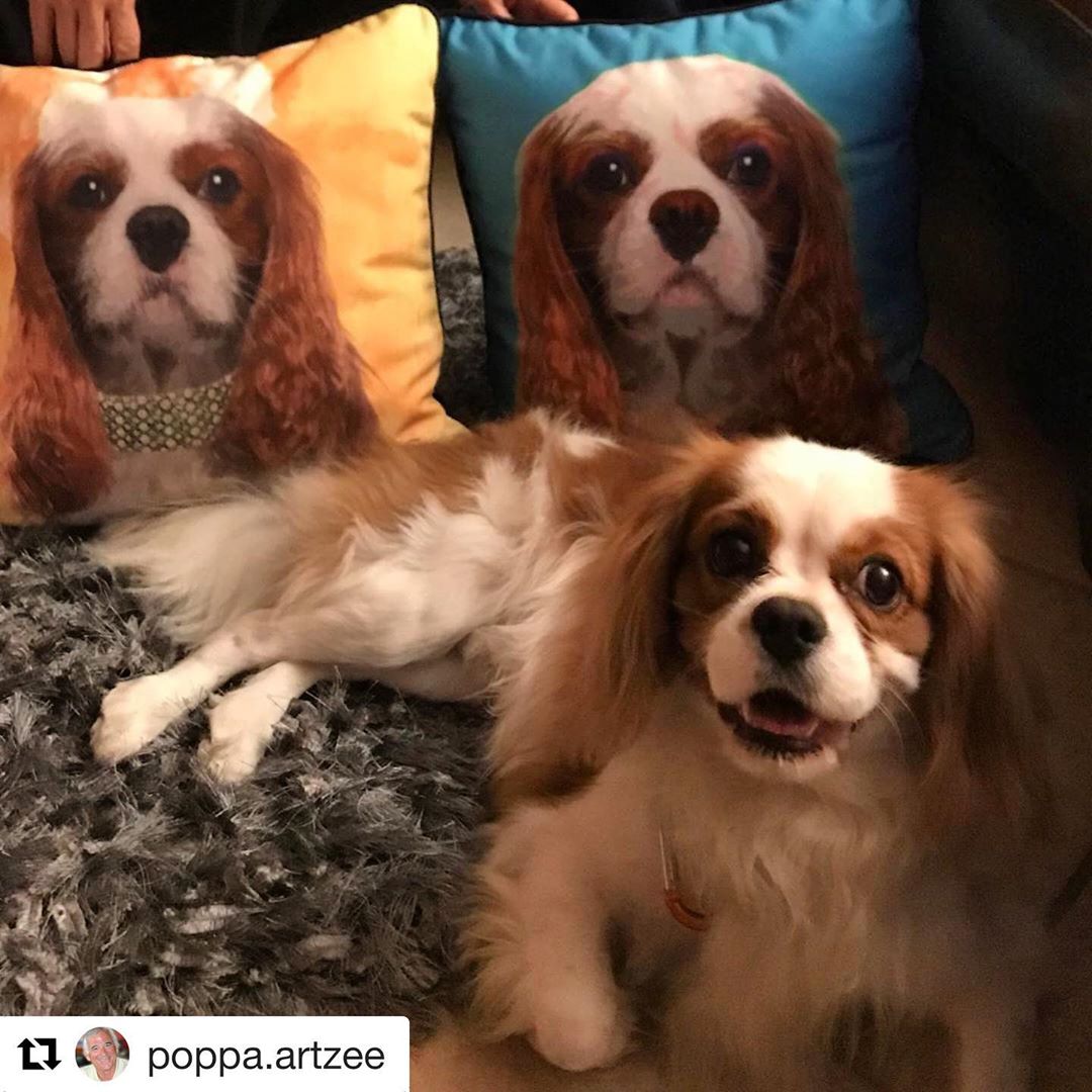 @poppa.artzee with @get_repost
・・・
Louie just loves his Poppa-Artzee pillows