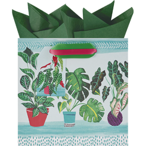 The Gift Wrap Co Plant Gift Bag