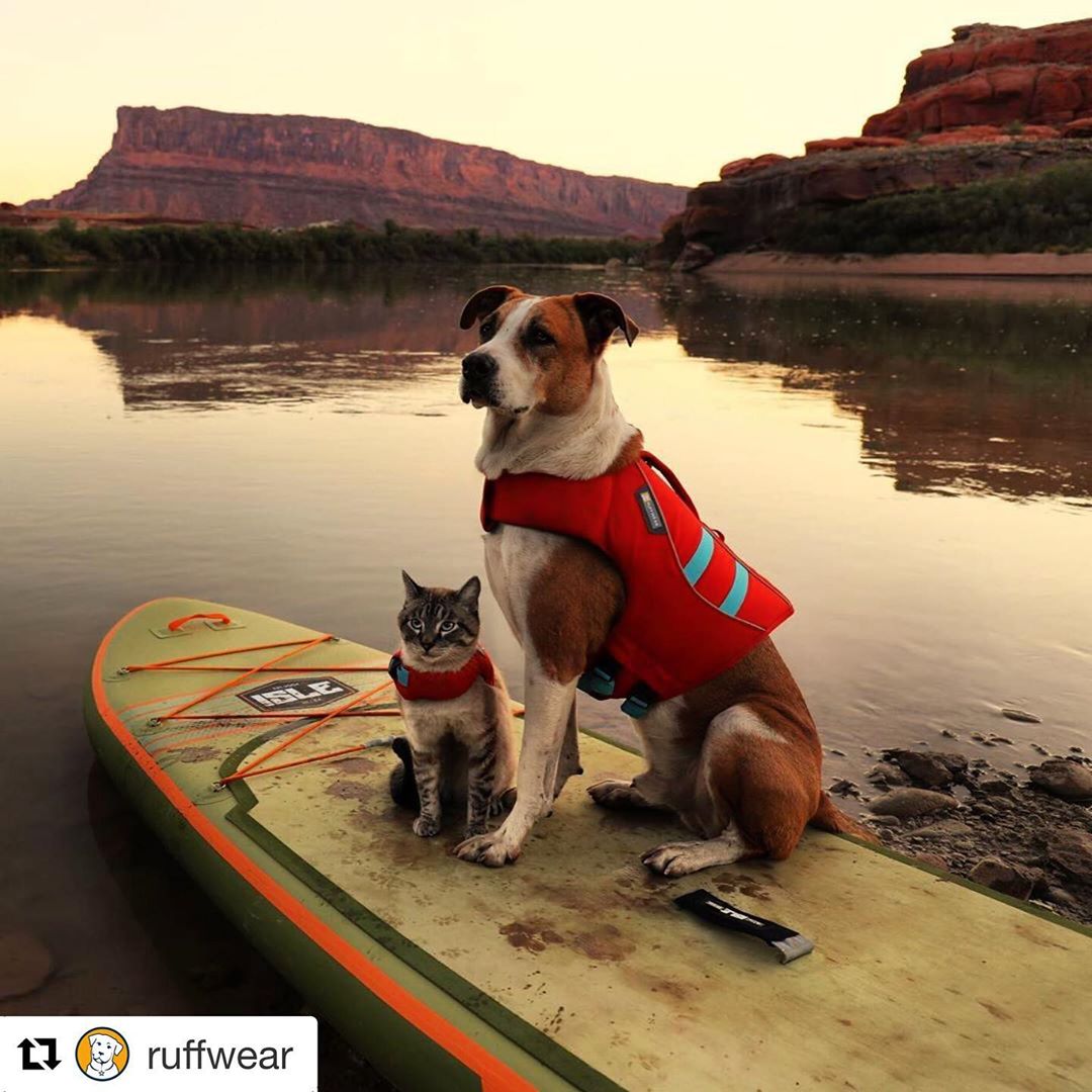 Is it the weekend yet? @ruffwear with @get_repost
・・・
This one is for all the SUP pups and their humans! Win the ultimate gear giveaway for dogs and paddlers who love spending time together out on the water. We are teaming up with @islesurfandsup to give one lucky winner an ISLE Scout Inflatable Paddle Board from ISLE’s brand new 2019 Lineup along with a Ruffwear water dog gear package! Photo: @henrythecoloradodog 
How to win:
1. Click the link in our bio to enter
2. Be sure to follow @islesurfandsup and @ruffwear 
3. Tag your water buddies or your pup
Winner announced July 29th, good luck! *Open to US residents only
