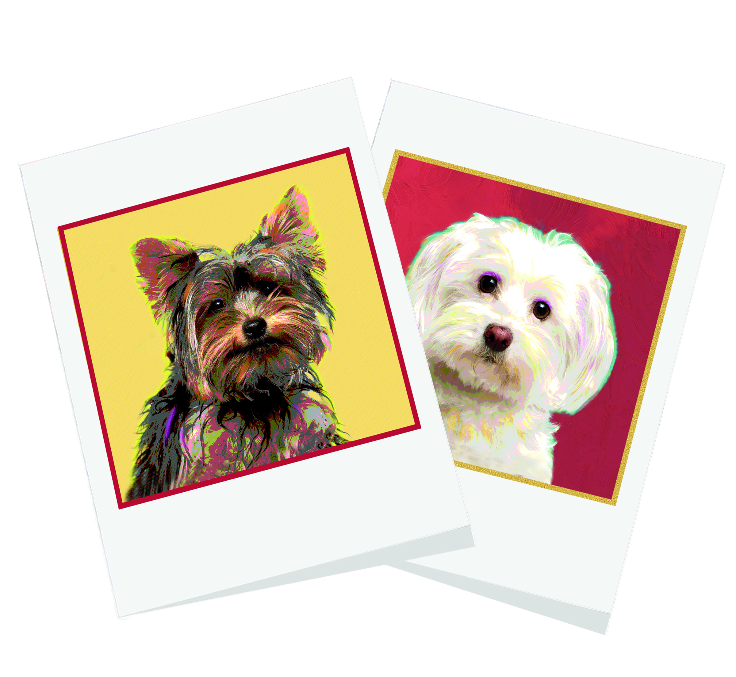 Breed Specific Greeting Cards 
															/ Poppa Artzee							