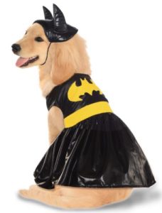 Bat Girl costume by Rubie's Pet Shop