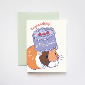 Go Hamster Birthday Card from ilootpaperie