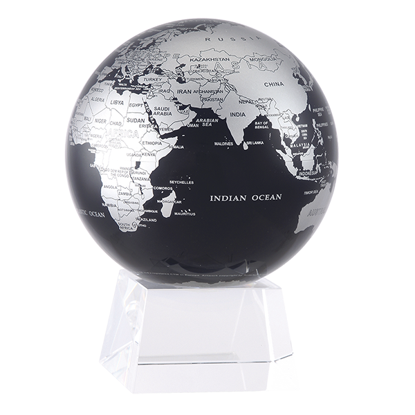 Black and Silver Globe