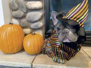 Lenni all dressed up for Halloween in witches costume