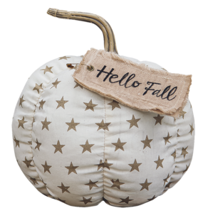 Primitive Star Pumpkin from CWI Gifts