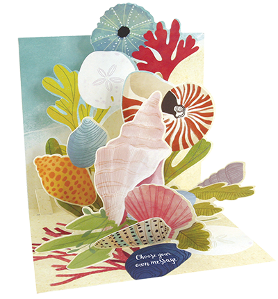 Ocean Shells Pop-Up Card