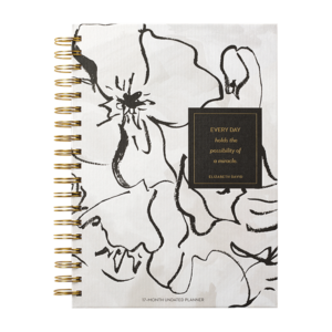 17-Month Planner from Compendium