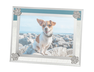 Paw Print Frame from OLIVIA RIEGEL
