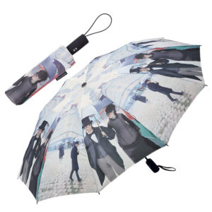 Rainy Day Folding Travel Umbrella from Raincaper
