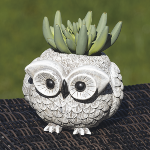 Pudgy Pals Mini Owl Planter from Roman