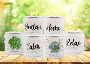 A Cheerful Giving Co CANDLES Succulents & Scents Candle Collection