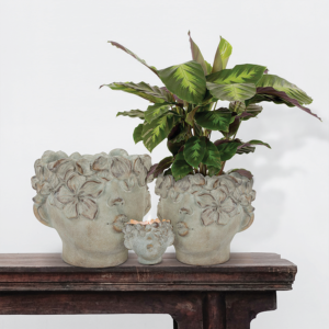 Planters from Abbott Collection