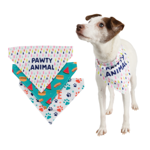 Pet Bandana Assortment from C.R. Gibson Signature