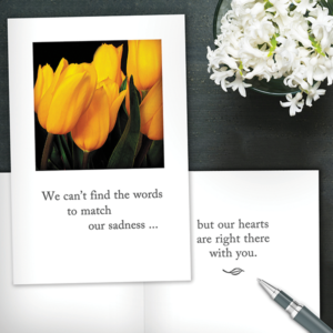 Condolence & Grief Support Cards from Cardthartic