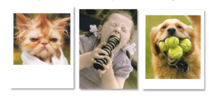 Image of three greeting cards from Designer Greetings