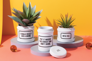 Ceramic Planters w: Drip Trays from Galison