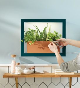 Modern Sprout Wall Planter