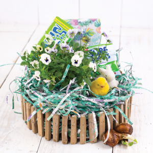 Eco-Shred from Wrappily