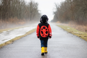 LadyBug 3D Hoodie with Backpack from Doodle Pants