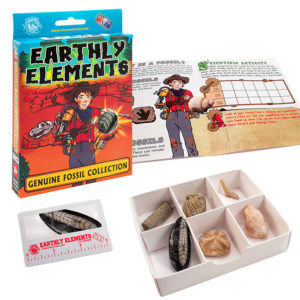 Earthly Elements Genuine Fossil Collection from Channel Craft
