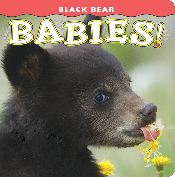 Black Bear Babies Book