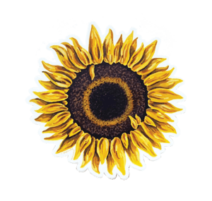 Sunflower Watercolor Sticker from Sketchy Notions