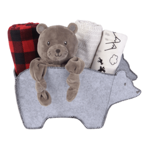 Welcome Baby Bear 5 Piece Shaped Gift Set from TrendLab