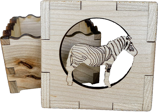 Zebra Nature Box