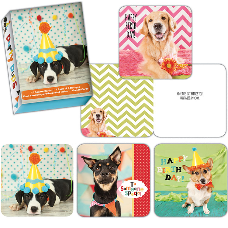arty Pups Birthday Card Assortment