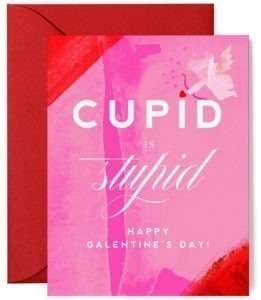 Cupid is Stupid Galentine’s Day Card from Kitty Meow Boutique