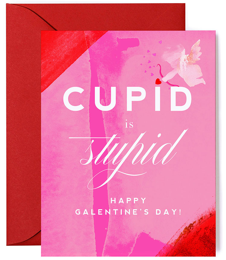 Cupid is Stupid Galentine’s Day Card 
															/ Kitty Meow Boutique							