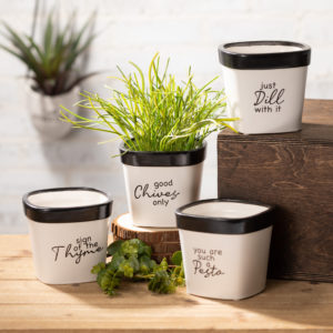 Say Anything Planters from Sullivan Gift