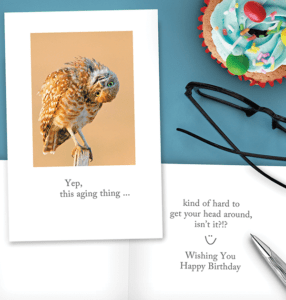 Curious Burrowing Owl Birthday Card from Cardthartic