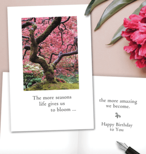 Gorgeous Old Tree Birthday Card from Cardthartic