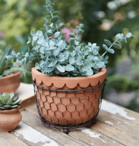 Chicken Wire Caddy with Scalloped Terra Cotta Pot from CTW Home Collection