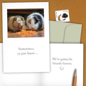 Guinea Pigs Card from Cardthartic
