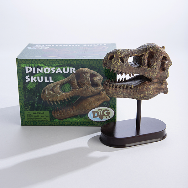 Dinosaur Skull Excavation Kit 
															/ GeoCentral							