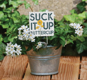 Plant Pokes from MyWord!