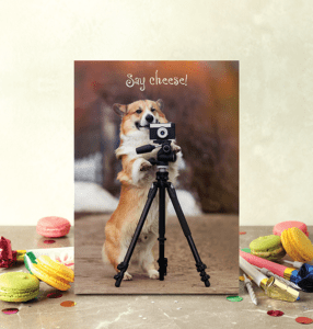 Say Cheese! Humorous Photographic Birthday Card from Northern Exposure Cards