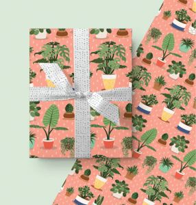 House Plants Gift Wrap from The Card Bureau
