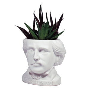 Fertile Minds Planter from Unemployed Philosophers Guild