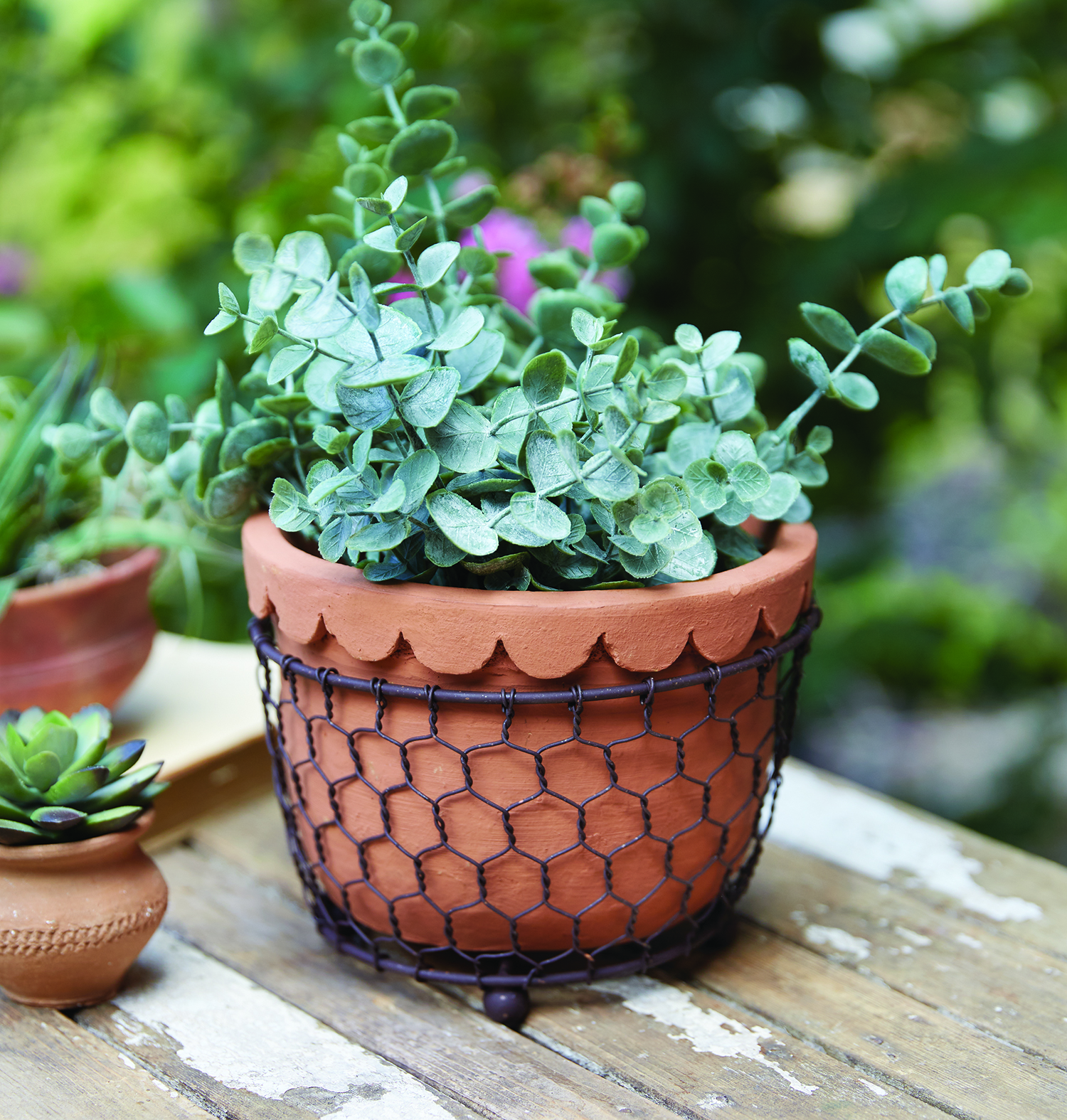 Chicken Wire Caddy with Scalloped Terra Cotta Pot 
															/ CTW Home Collection							