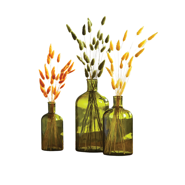 Preserved Fall Bunny Tails and Green Glass Bottle Vases 
															/ Mud Pie							