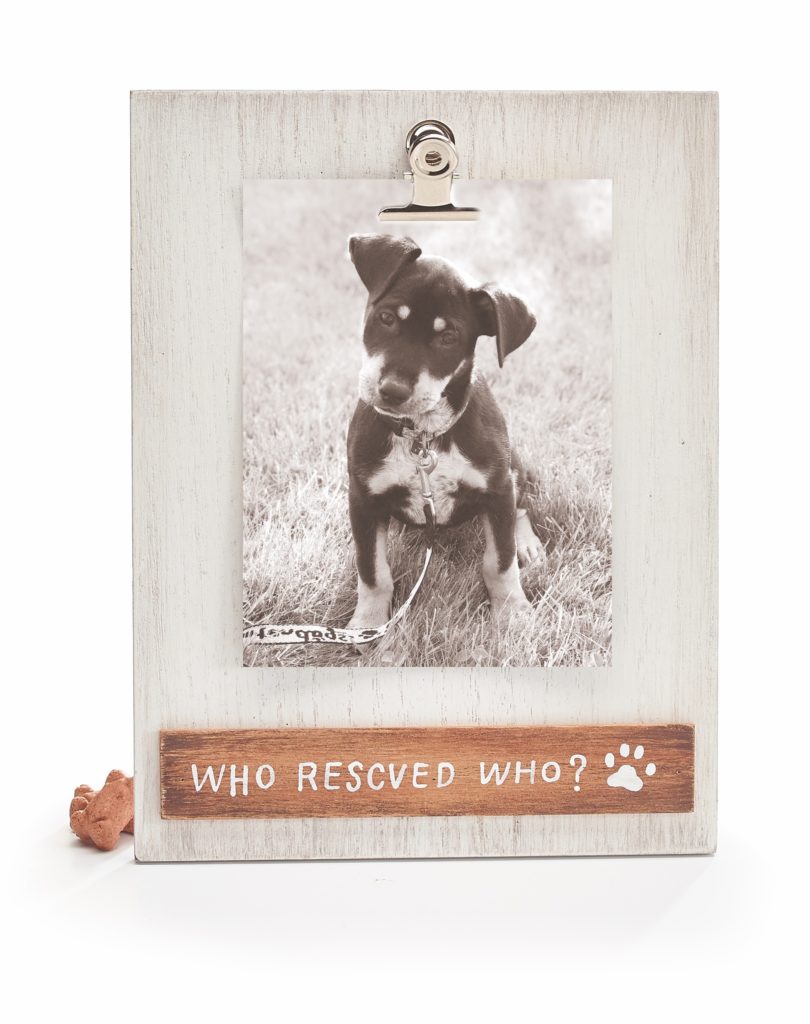 Pet Frame from burton + BURTON